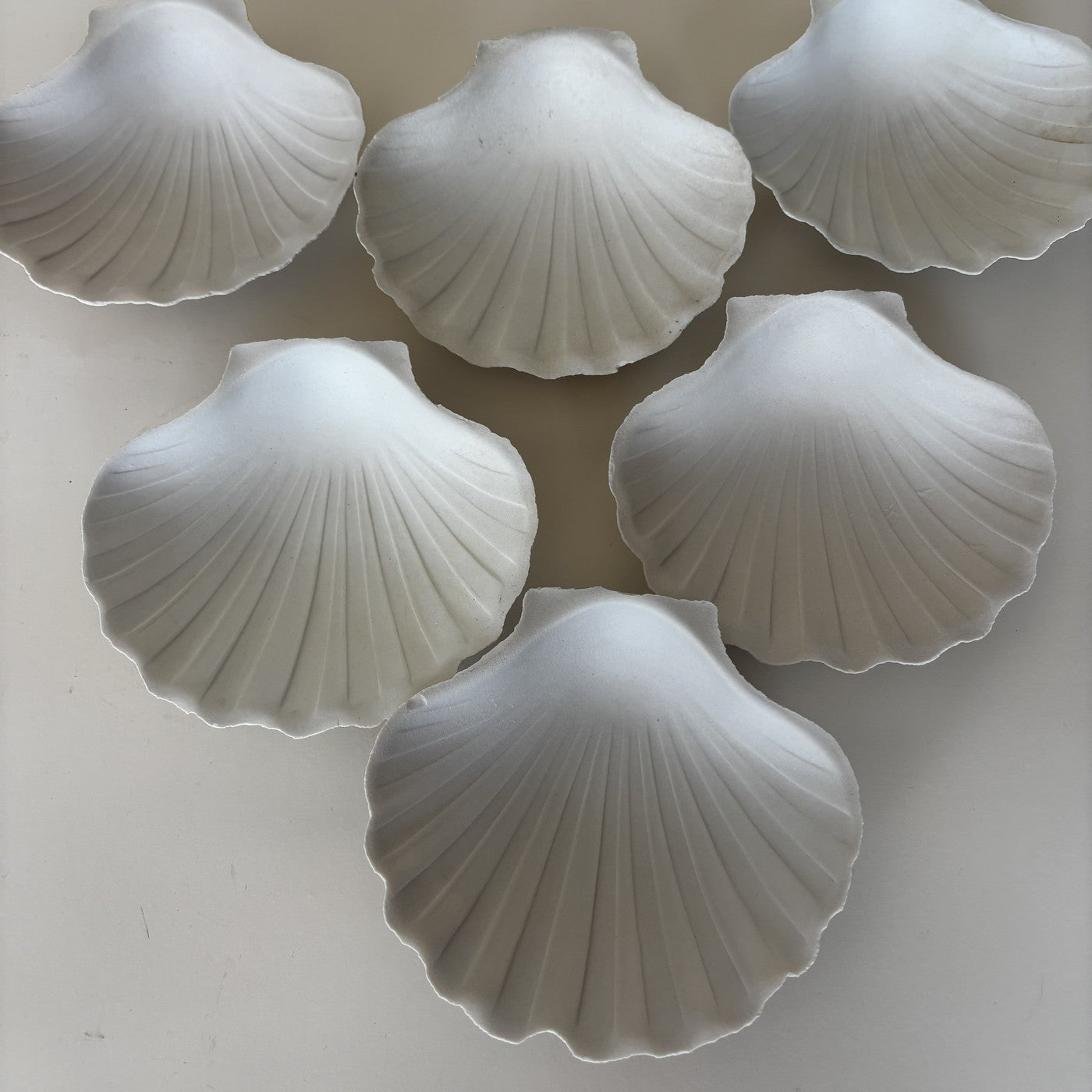 Coupelles Coquillages