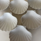 Coupelles Coquillages