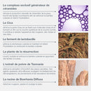 Coffret Duo Réparateur Pour Les Peaux Sensibles | Ultracalming Cleanser Voyage Offert