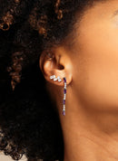 Puces D'Oreilles Isabella