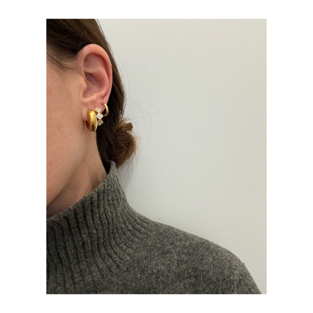 Aros Paloma