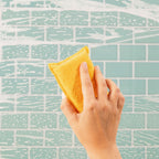 Color Pack - All Our Sponges