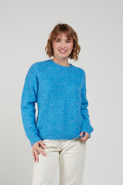 Jersey Jacob