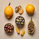 Purify Shampooing Purifiant Cuir Chevelu Très Gras - 2 - 50Ml