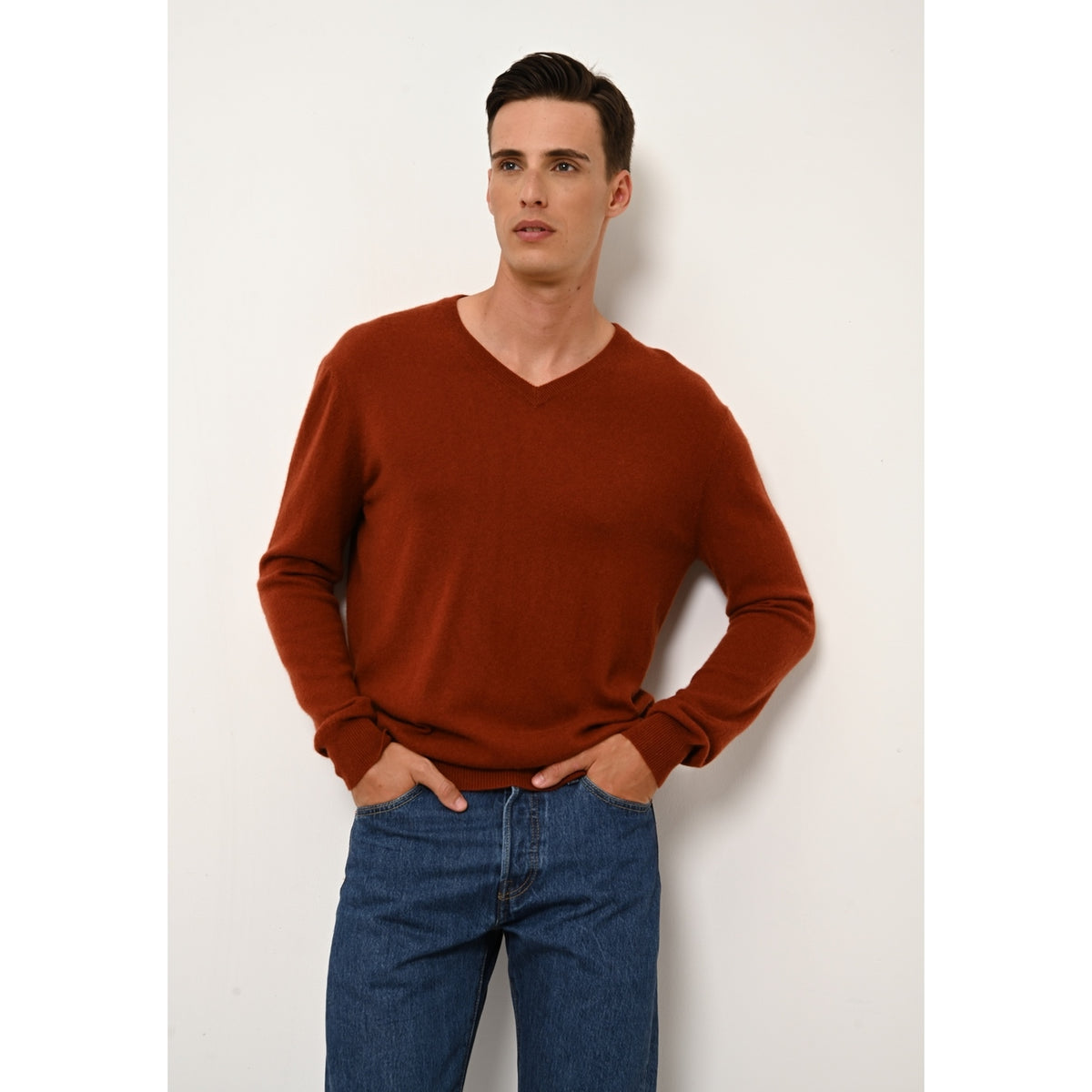 Pull Col V - Walt - Écureuil