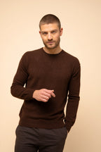 Round Neck Sweater-Noe-100% Cashmere, 2 Yarns-Coffee-Men