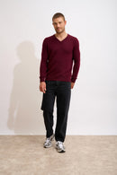 Pull Col V 4 Fils - Nathan - Mûre