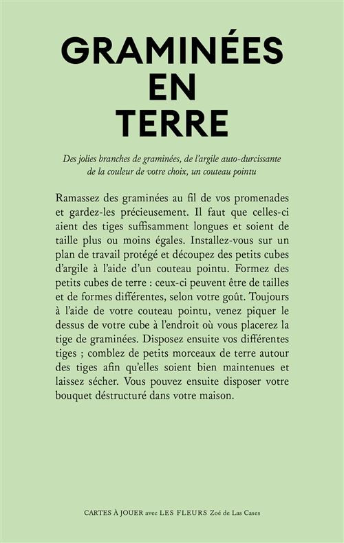 Jouer Avec Les Fleurs - Zoé De Las Cases