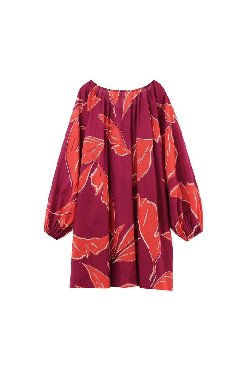 Robe Courte Kassis Pivoine