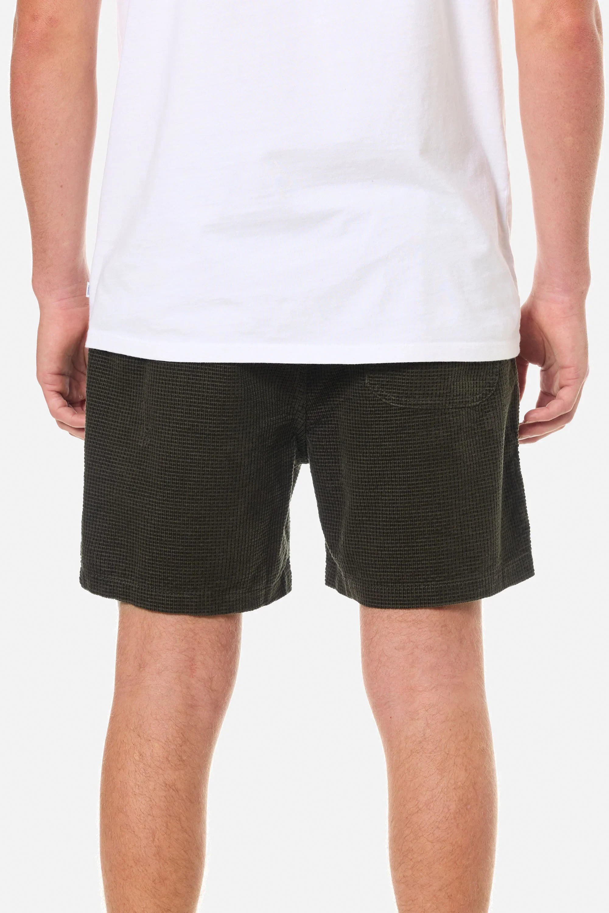 Short Ward