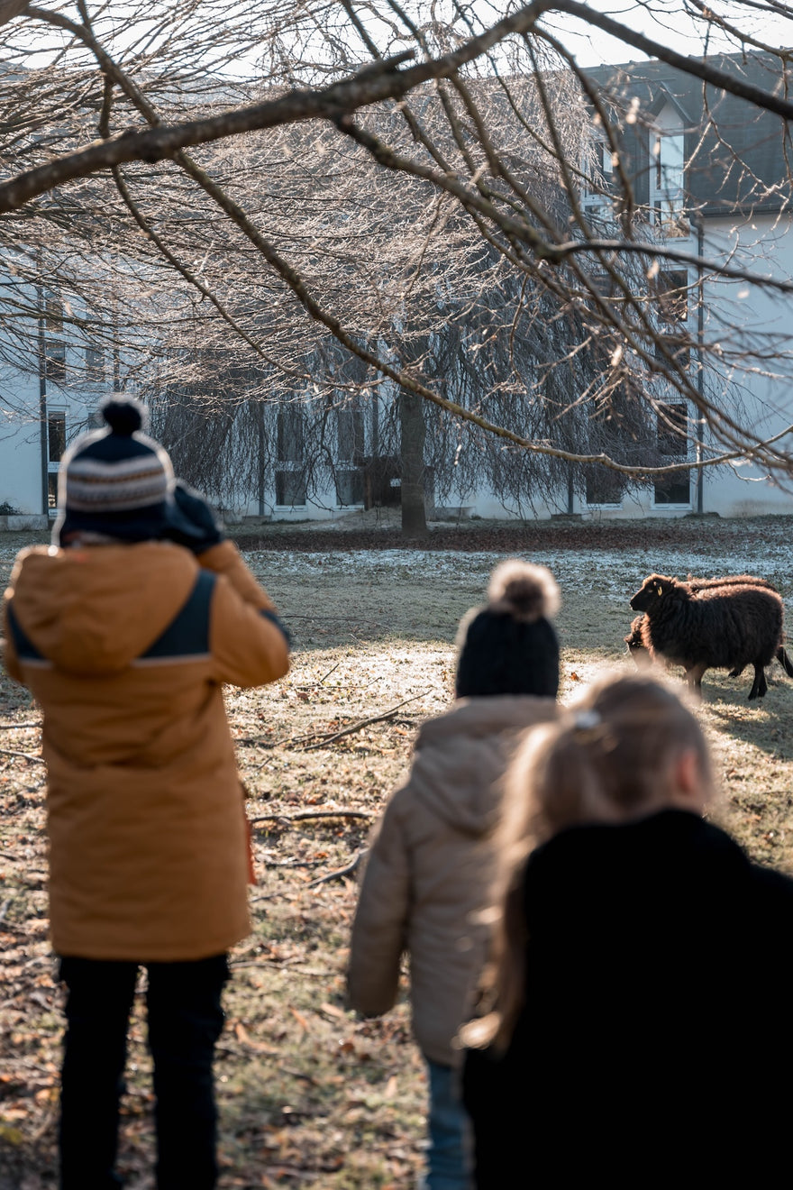 Parque Coudray