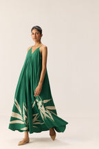 Robe Gracie