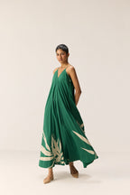 Robe Gracie