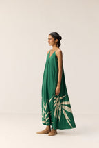 Robe Gracie