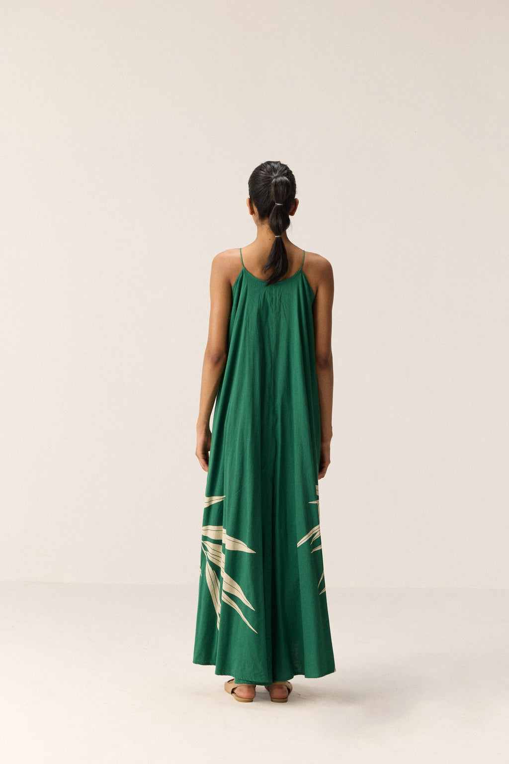Robe Gracie