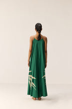 Robe Gracie