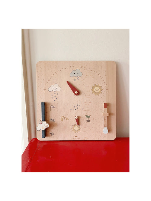 Konges Sløjd - Station Météo Fsc - Nature