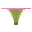 Culotte Charlotte - Forest Green