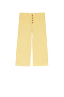 #couleur_lemon