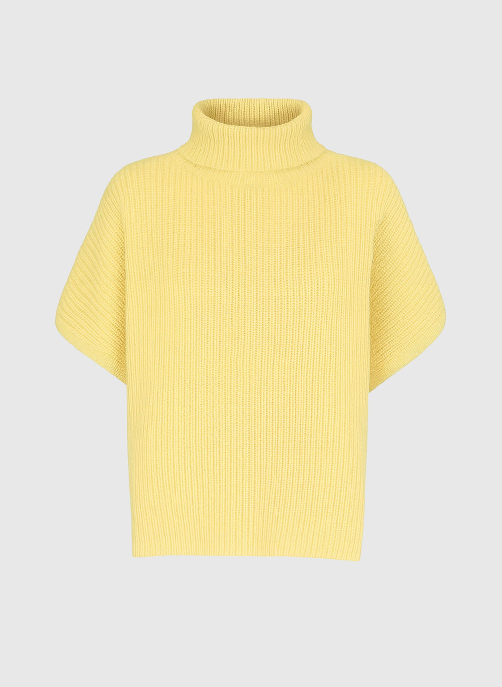 Pull Lepony Poussin