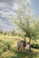 Vestido De Cocina Turrón Tomates