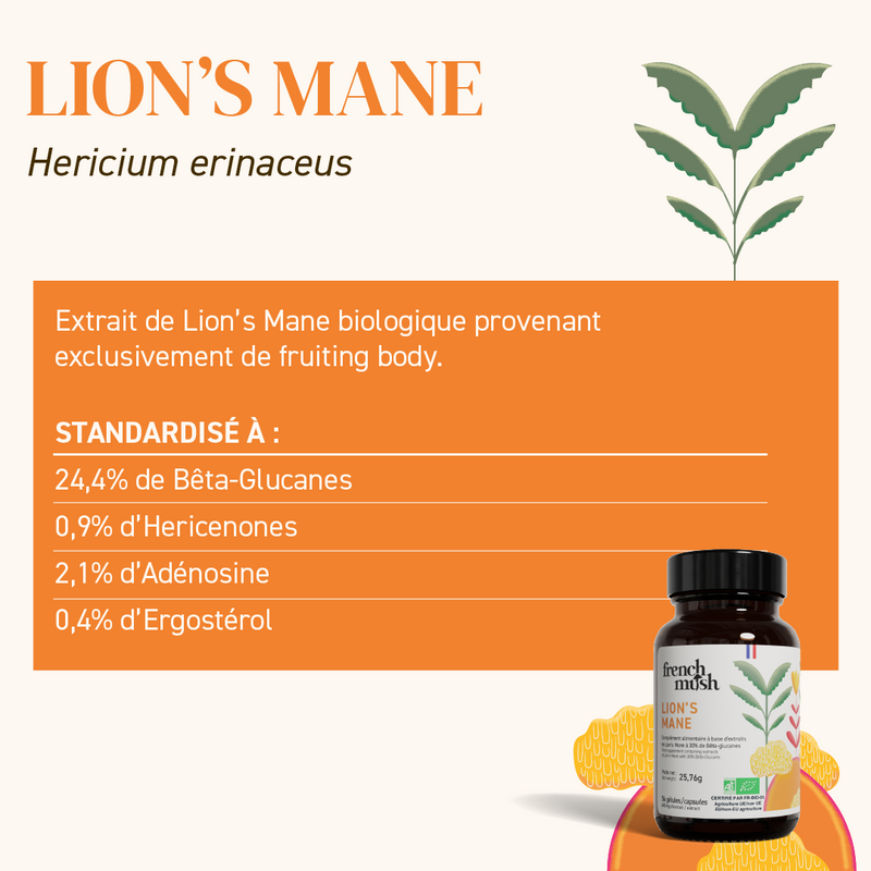 Compléments Alimentaires Lion’S Mane - Cure En Gélules