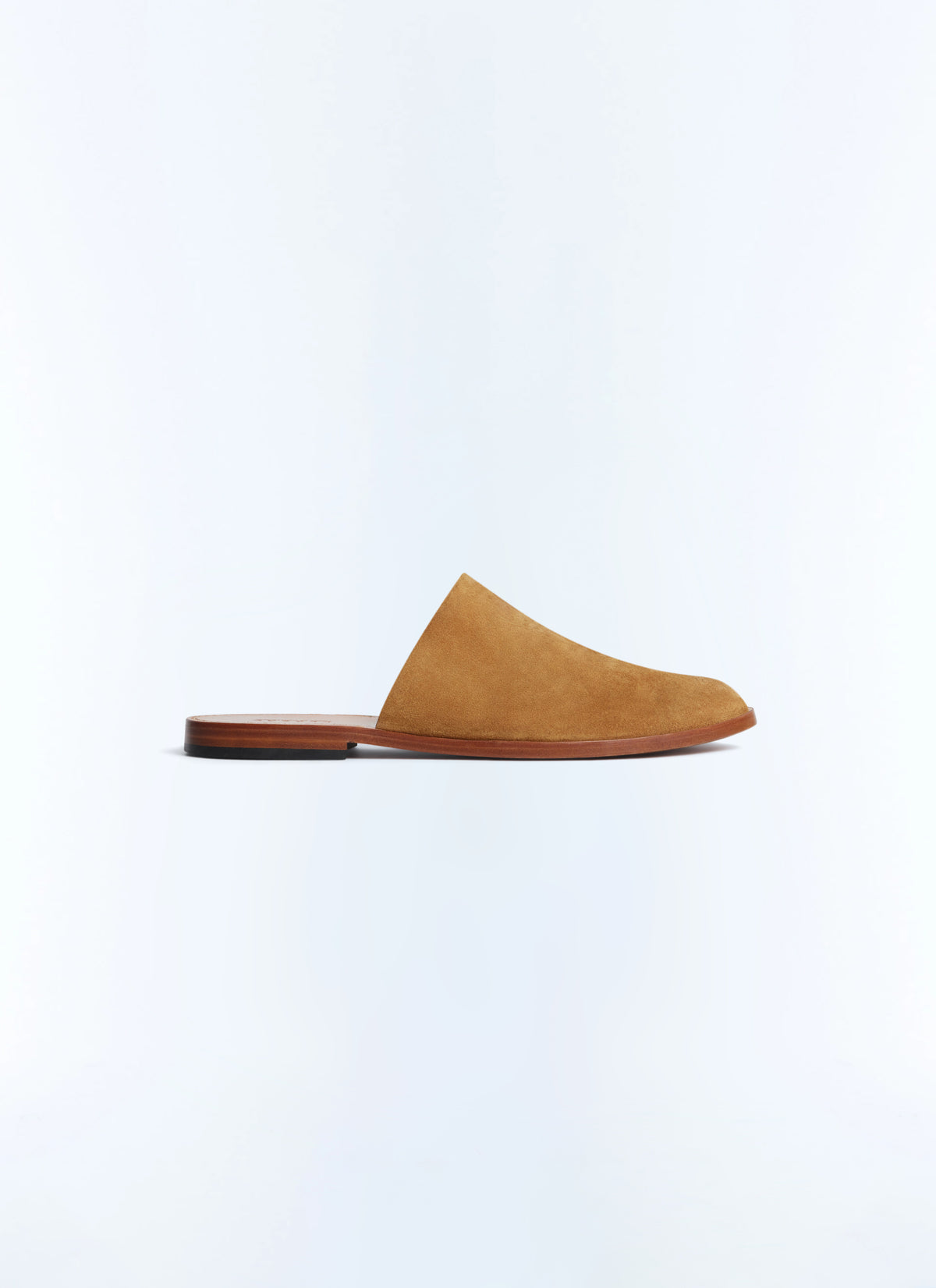 Mules - Camel