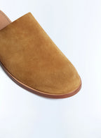Mules - Camel