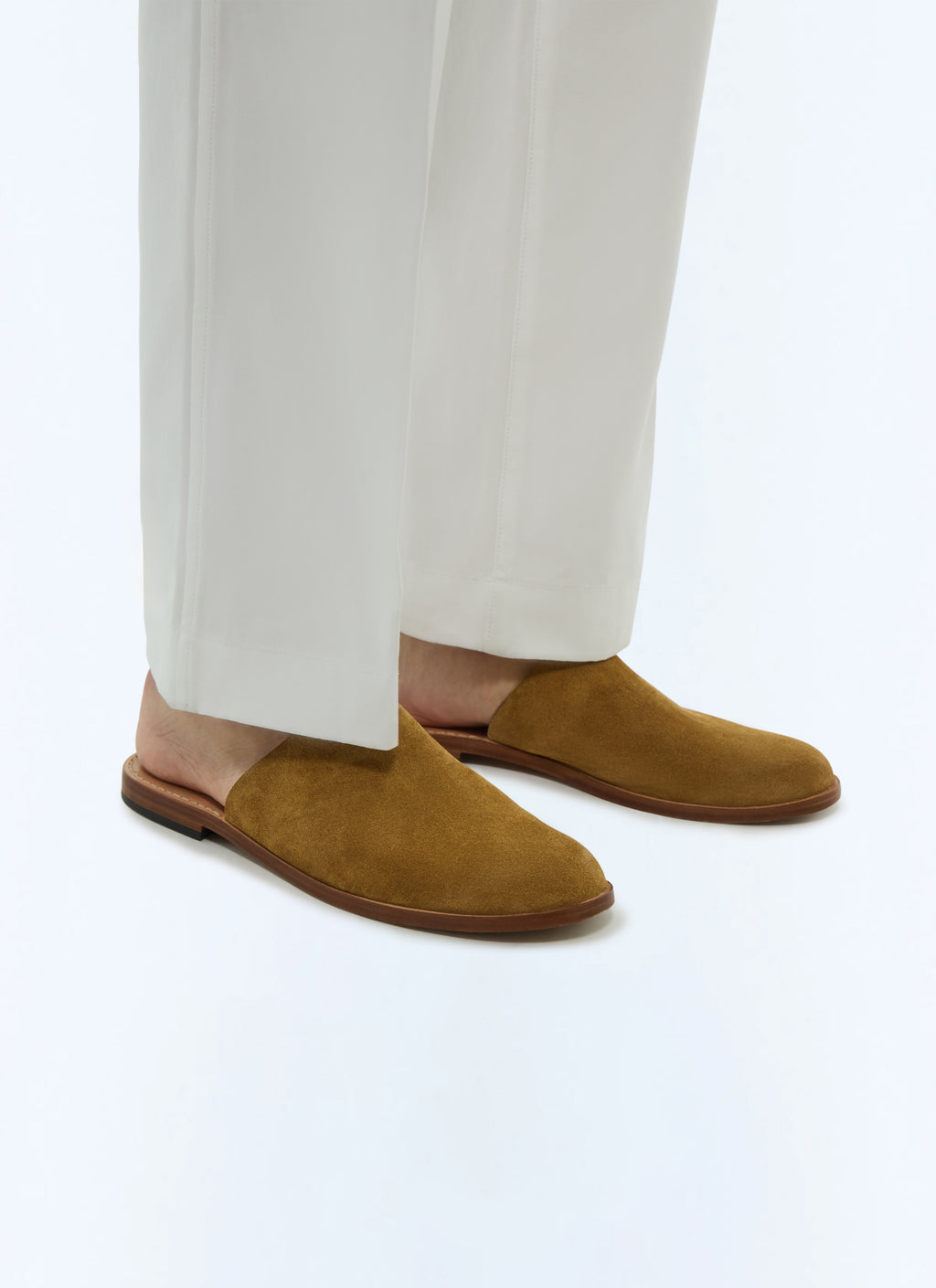 Mules - Camel