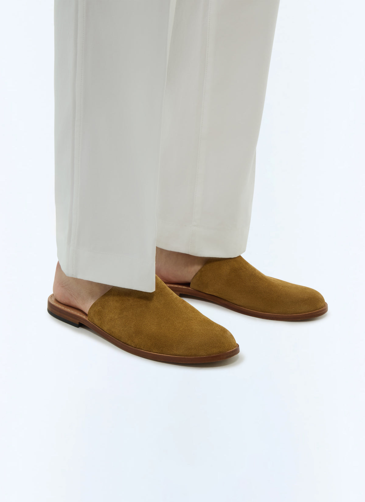 Mules - Camel