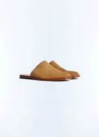 Mules - Camel