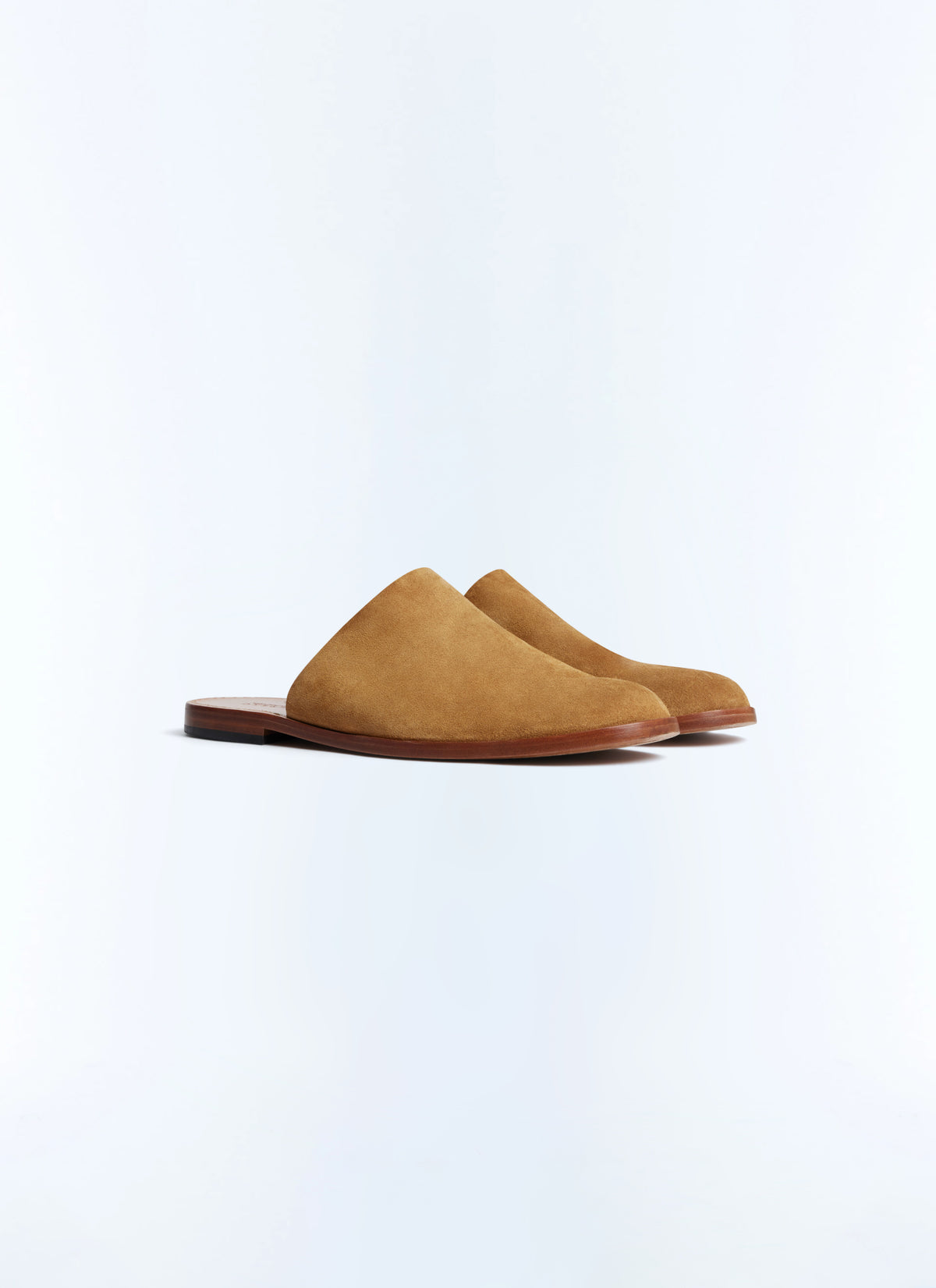 Mules - Camel