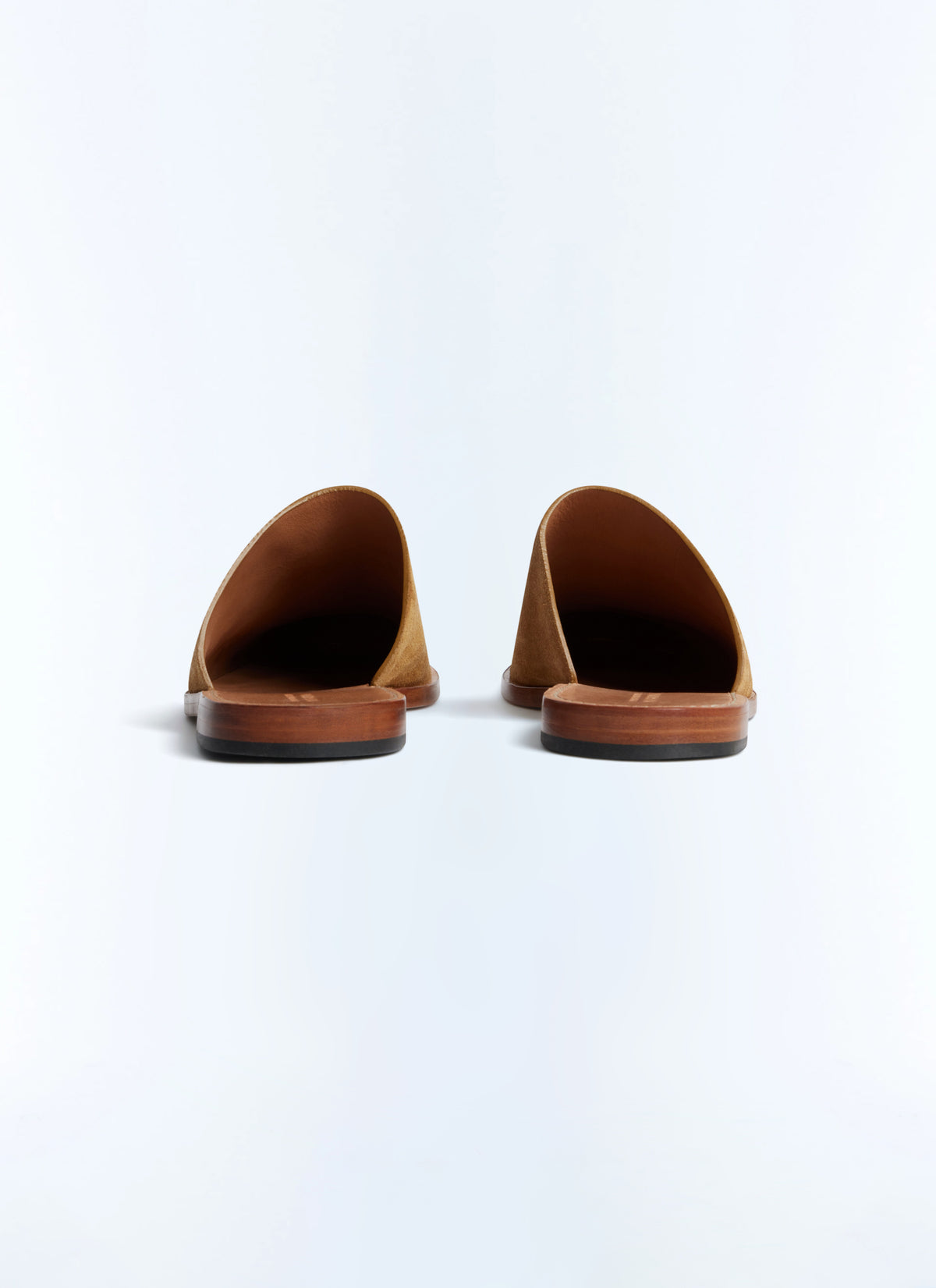 Mules - Camel