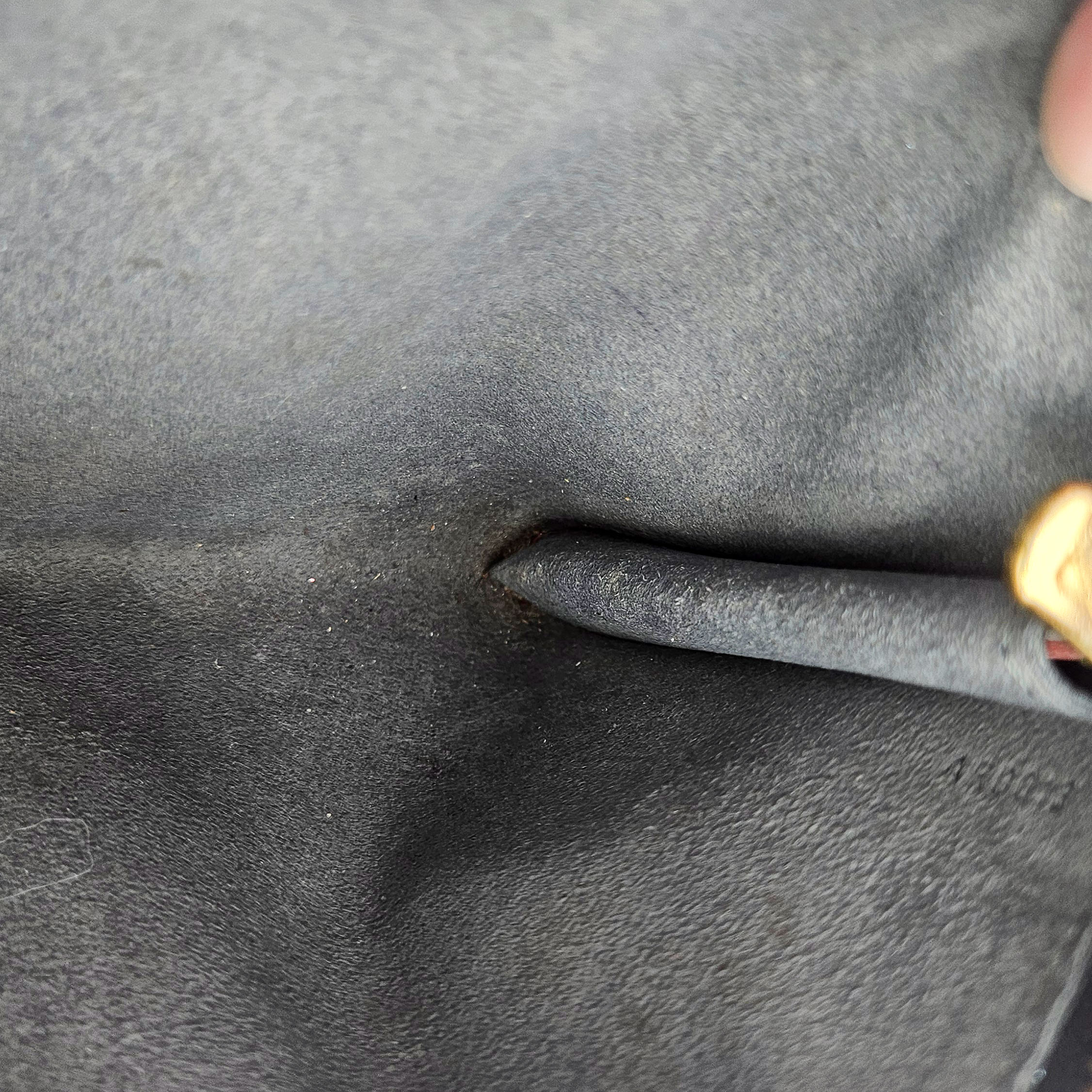 Pochette Louis Vuitton Accesorios Cuero Épi Negro