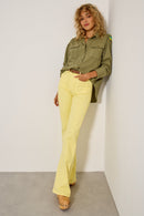 #couleur_lemon