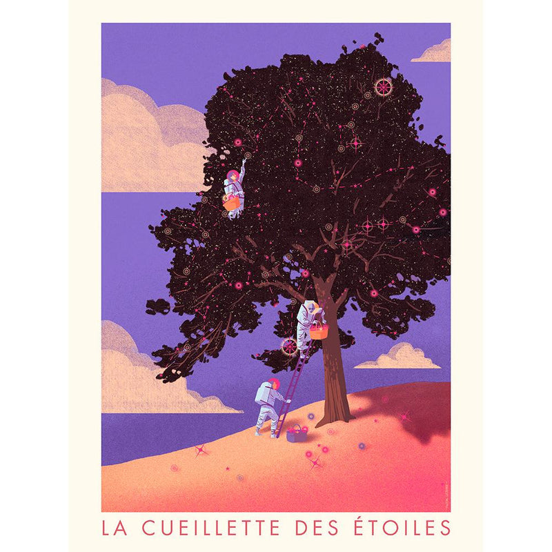 Image Alt Text