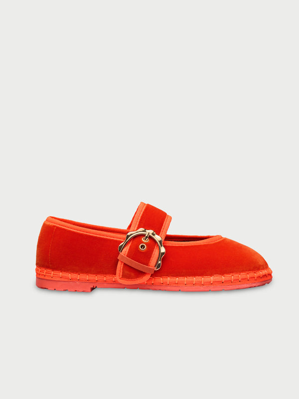 Lady Sophie Orange