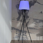 TRY dimmable multicolor LED wireless tripod floor lamp H150cm with remote control - REDDECO.com