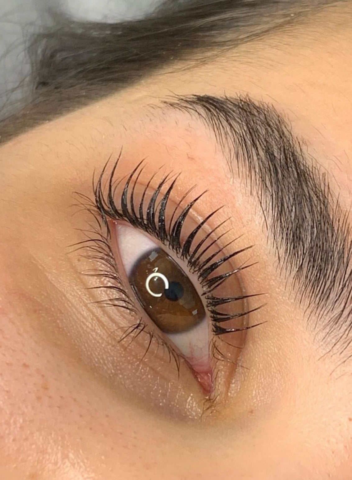 LashBotox