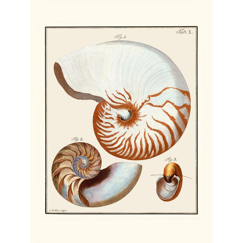 Sciences Naturelles - Le Grand Nautille