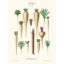 Sciences Naturelles - Le?gumes Racines,Ernst Benary