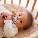 Set of 2 Anatomical Animal Pacifiers