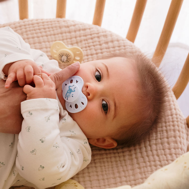 Set of 2 Anatomical Animal Pacifiers