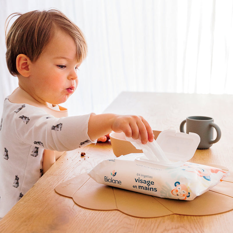 Pack of 3 Face and Hand Wipes
