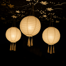 Decoración Luz Solar - 3X Himalaya
