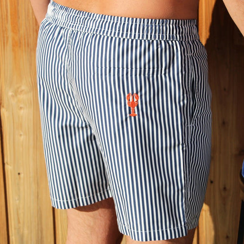 Swim Shorts - Striped Immersion