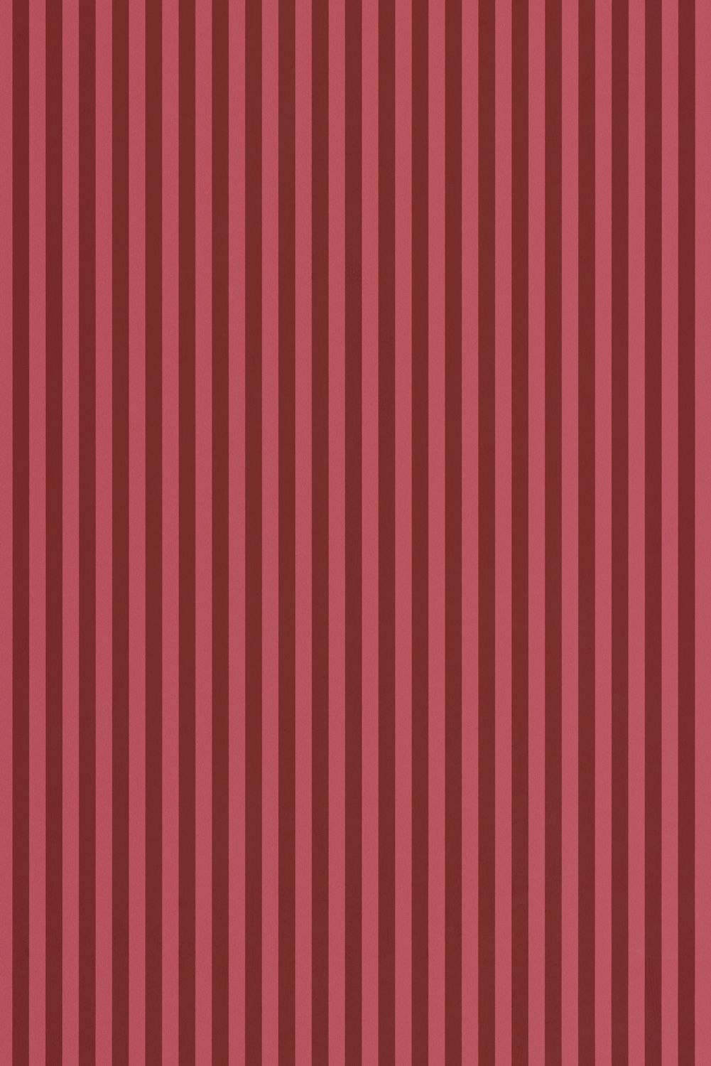 Gustave - Wallpaper - Pink