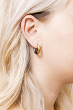 Boucles D'Oreilles  - Doré Et Argenté