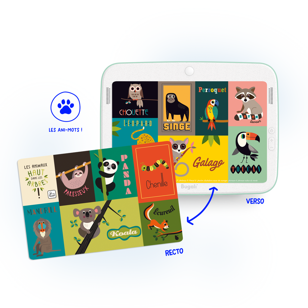 Coffret 5 Cartes Interactives Kézaco ? (3+)