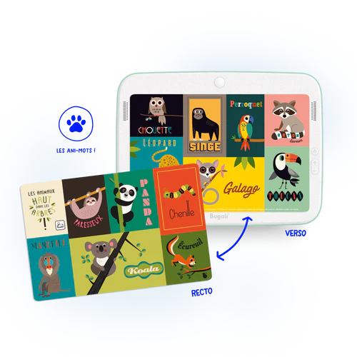 Packs - Pack Tablette & Cartes (3+)